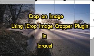 crop an image in laravel jcrop