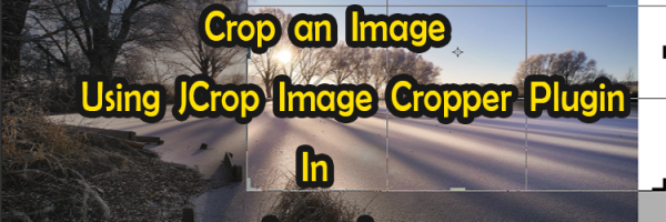 crop an image in laravel jcrop